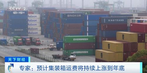 集装箱运费持续上涨到年底 菜鸟开通东南亚跨境服务,辉瑞忙着发 疫情财