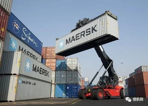 中国成全球最大的冷藏集装箱进口国,国务院严控进口冷链食品风险