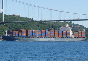 上海至广州荔湾瓷砖集装箱海运价格、厂家与图片全攻略